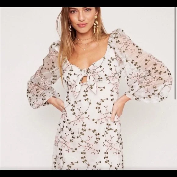 Stone Cold Fox Silk Organza Bardot Dress 0 BNWT - Picture 4 of 4